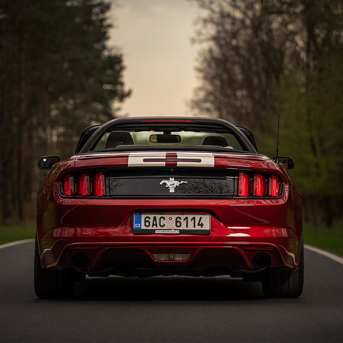 Mustang Cabrio Shelby AmericanLegends.sk